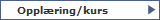 Opplring/kurs
